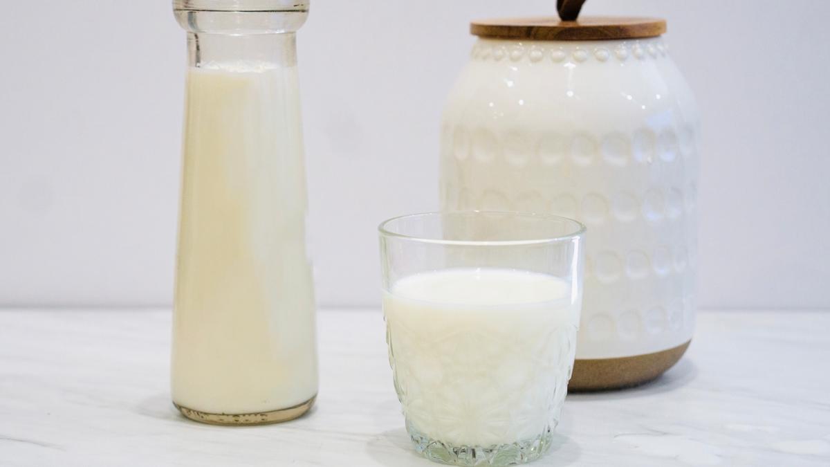 kefir sindirim kefirin yan etkileri kefirin faydalar probiyotik fotoraflar resimleri