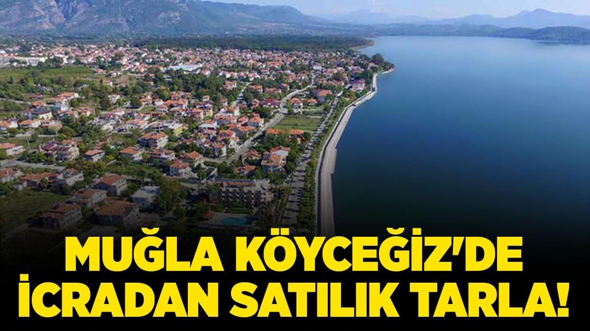 mula kyceiz tarla icradan satlk tarla icra ilanlar fotoraflar resimleri