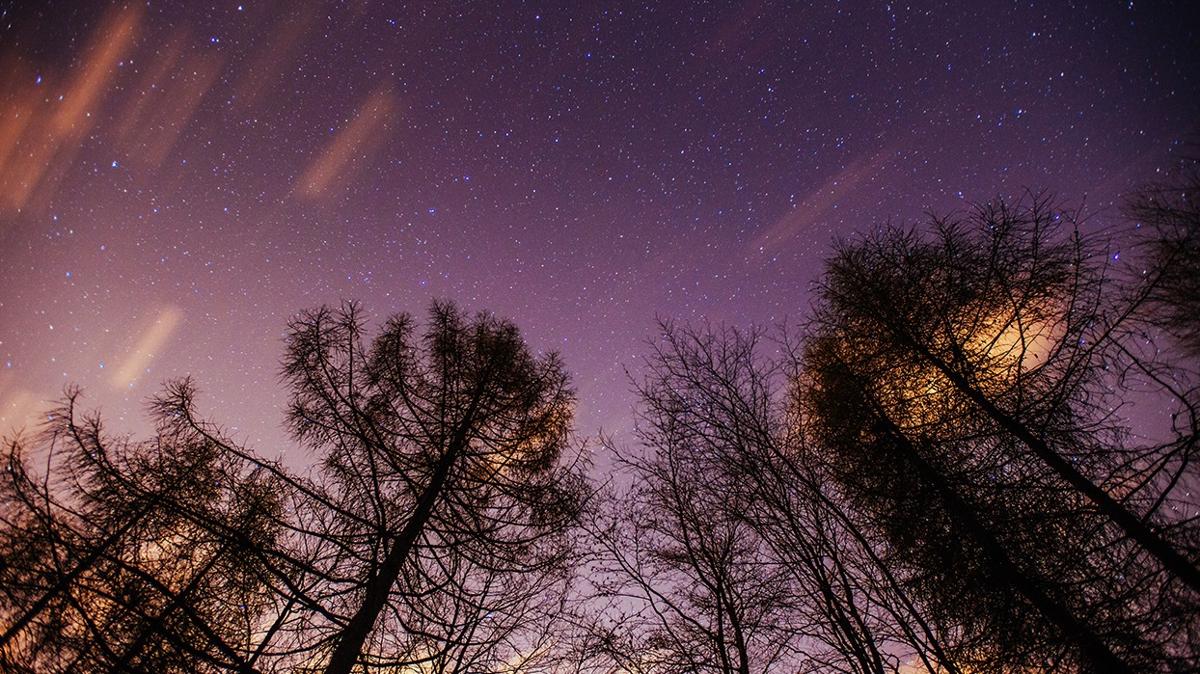 gnlk bur yorumlar bur yorumlar astroloji bur fotoraflar resimleri