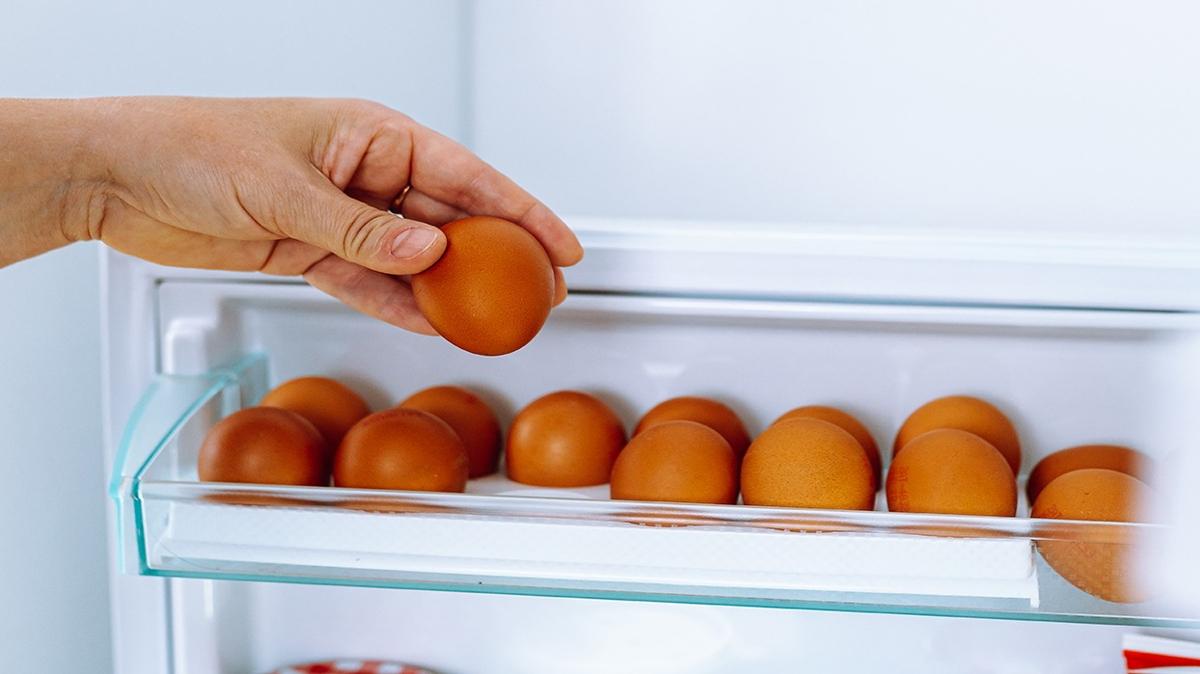 saklama limon bakteri yumurta fotoraflar resimleri