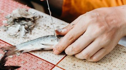 Hamsi temizleme derdine son: Suya 1 kak ekle ve beklet