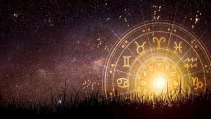 Sinirleri aniden zplayan burlar! Hayatlar kavga zerine