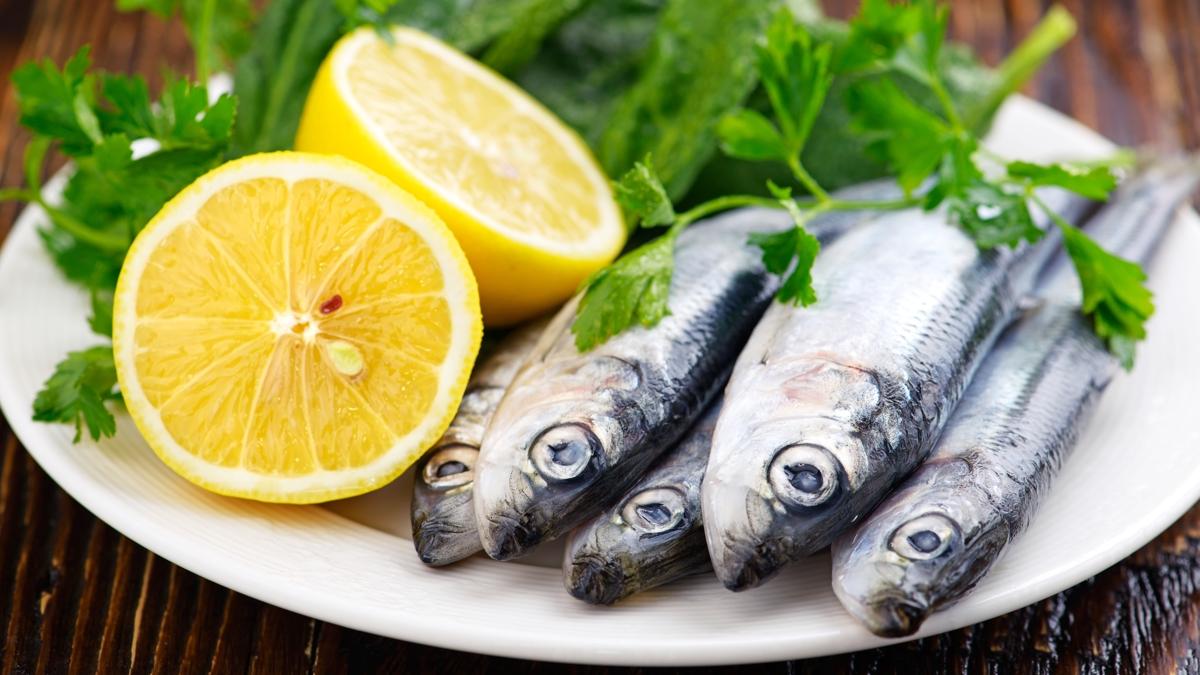 hamsi hamsi nasl piirilir Omega-3 fotoraflar resimleri