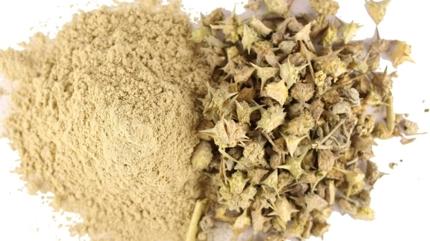 ltihab kknden kurutan bitki! Ate dryor, ar kesici