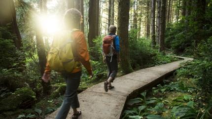Zatrre, bronit sizi es geiyor! Akcierler nasl temizlenir?