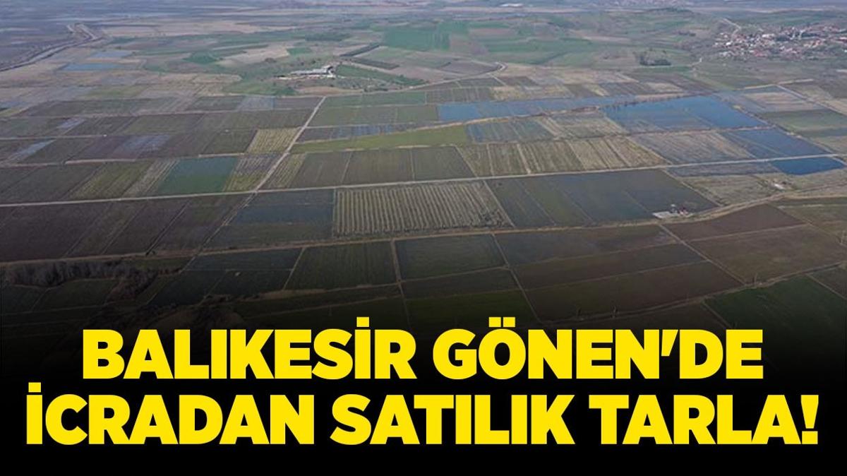 balkesir gnen tarla icradan satlk tarla icra ilanlar fotoraflar resimleri