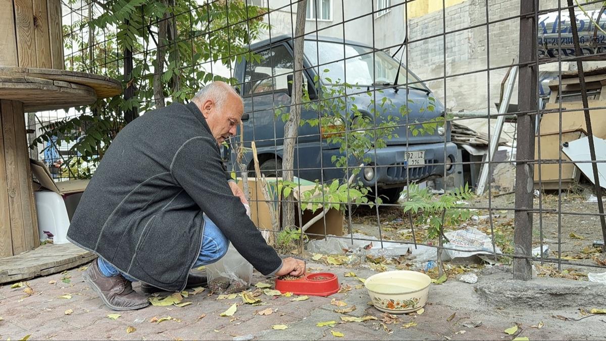 Burdur kpek saldrs yaral fotoraflar resimleri