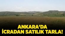 Ankara Kahramankazan'da 1.293.108 TL'ye icradan satlk tarla!