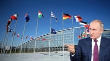 ''Kattan kaplan'' polemii sryor! Putin NATO'ya yklendi
