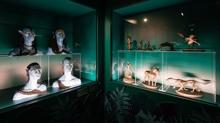 Titanik ve Avatar filmlerinden eserler stanbul Sinema Mzesi'nde sergileniyor