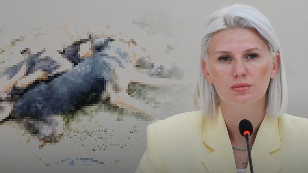 chp bilecik kpek fotoraflar resimleri