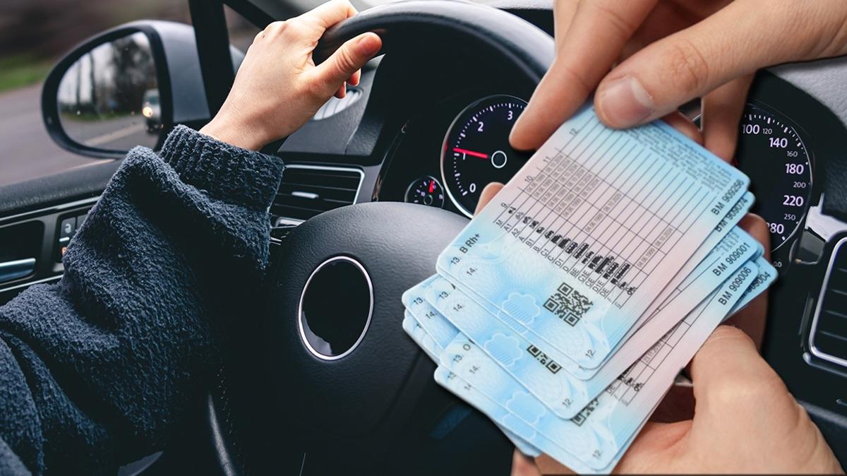 ehliyet src belgesi src fotoraflar resimleri