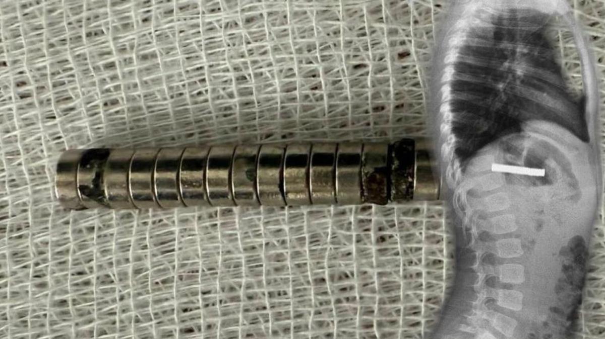 elaz mknats ocuk fotoraflar resimleri