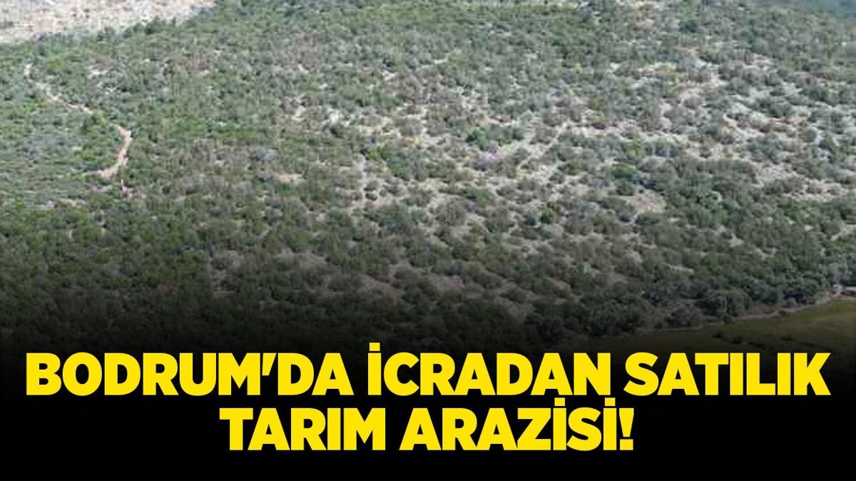 mula bodrum tarm arazisi icradan satlk arazi icra ilanlar fotoraflar resimleri