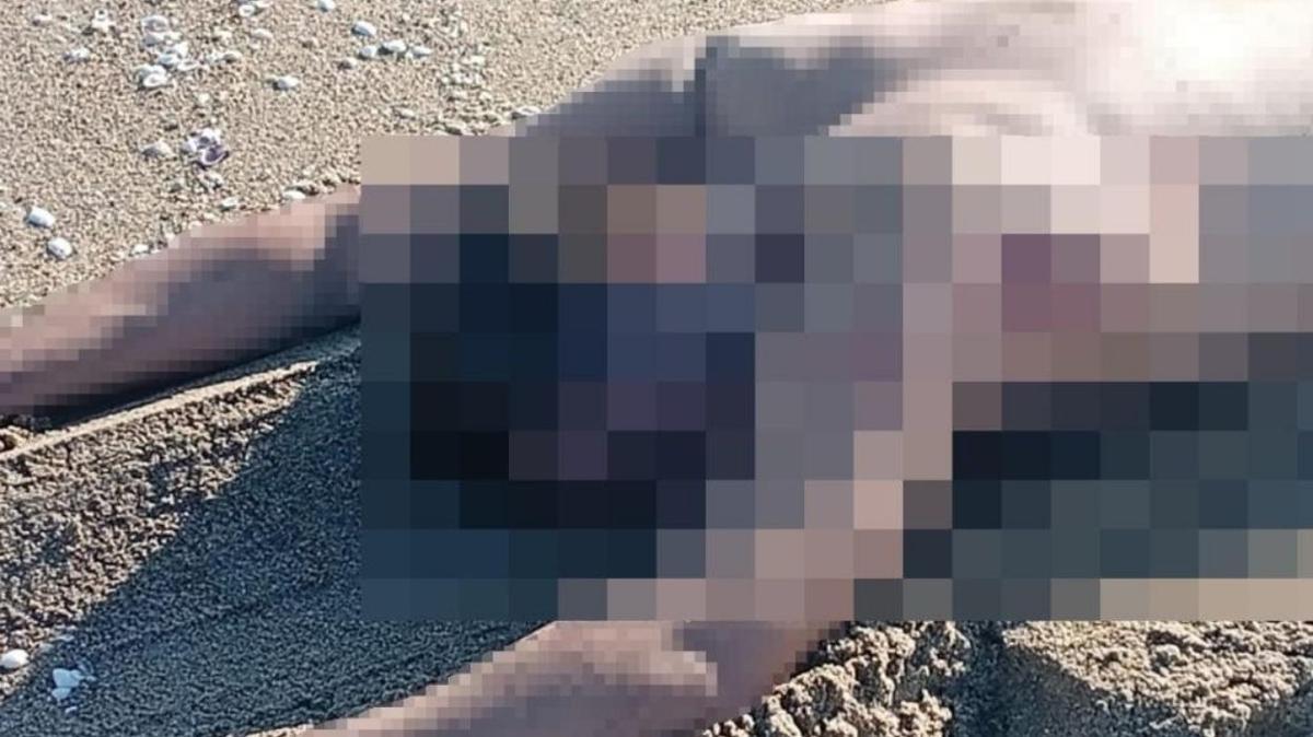 sakarya sahil l l bulundu ceset fotoraflar resimleri