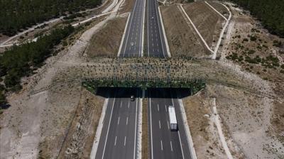 Trkiye'nin 11. kara yolu ekolojik kprsnn yl sonunda tamamlanmas hedefleniyor