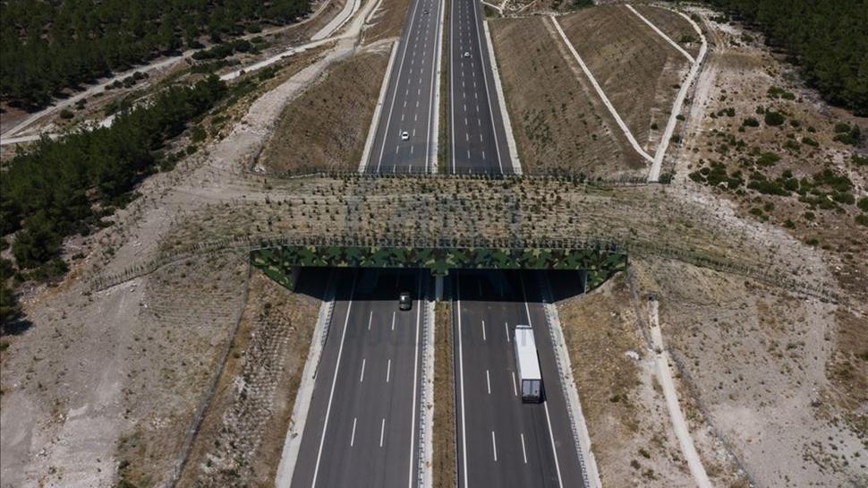 Trkiye'nin 11. kara yolu ekolojik kprsnn yl sonunda tamamlanmas hedefleniyor