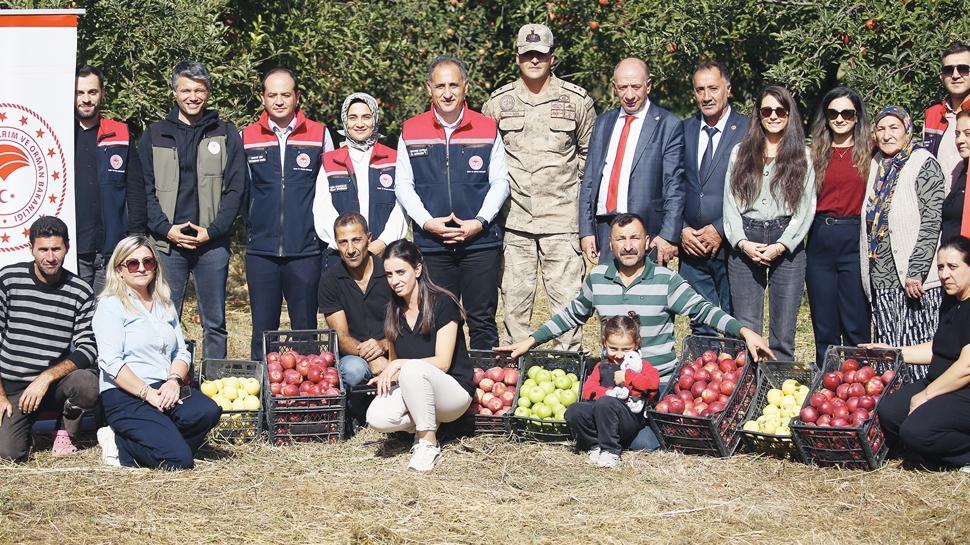 Mikroklima blgesinde organik elma hasad