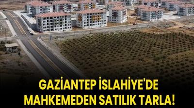 Gaziantep slahiye'de mahkemeden satlk tarla!