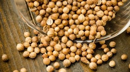 Enerji madeni 10 besin, bakln reetesi! bn-i Sina tavsiyesi