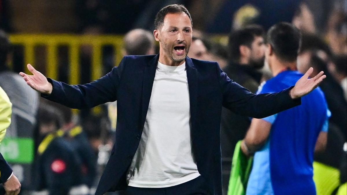 fenerbahe sper lig domenico tedesco fotoraflar resimleri