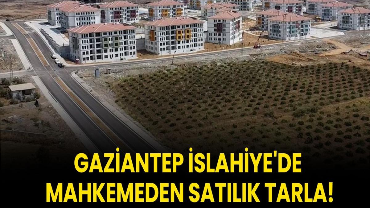 Gaziantep slahiye 27.000 metrekare tarla mahkeme sat fotoraflar resimleri