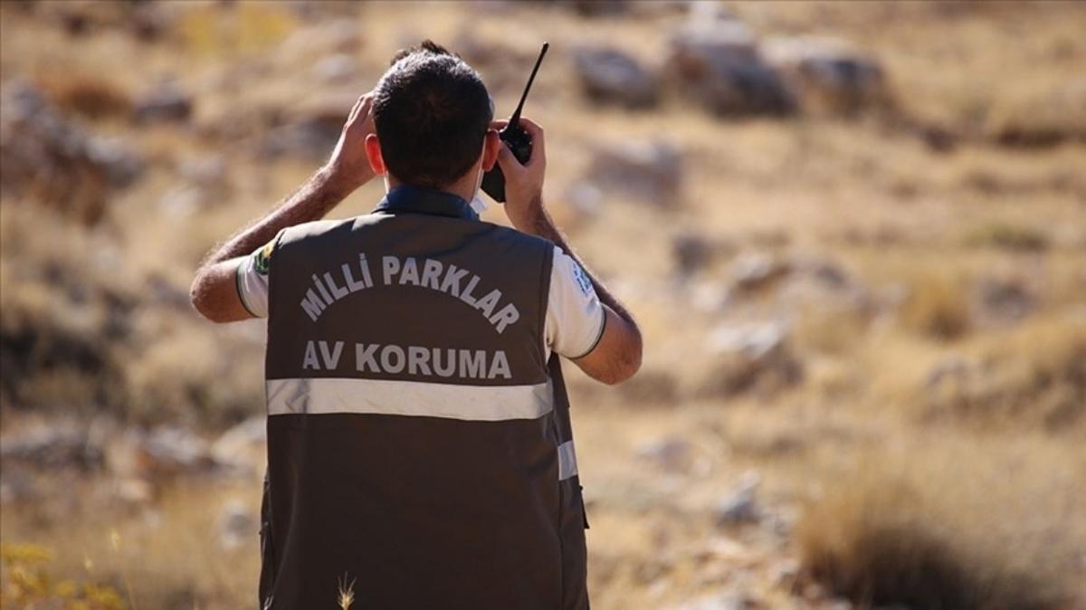ankara kaak av yasak av para cezas milyon doa koruma  fotoraflar resimleri
