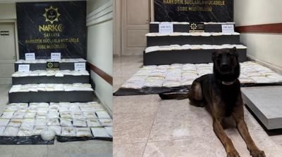 Sakarya'da rekor miktarda uyuturucu ele geirildi