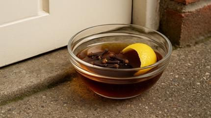 Kasm gelmeden bunu kap nne koyan k hasta olmadan geiriyor!