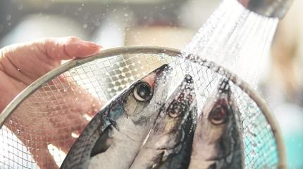 Taze balk gznden belli olur! Kimse seerken bu ayrnty fark etmiyor ama gzler yalan sylemez