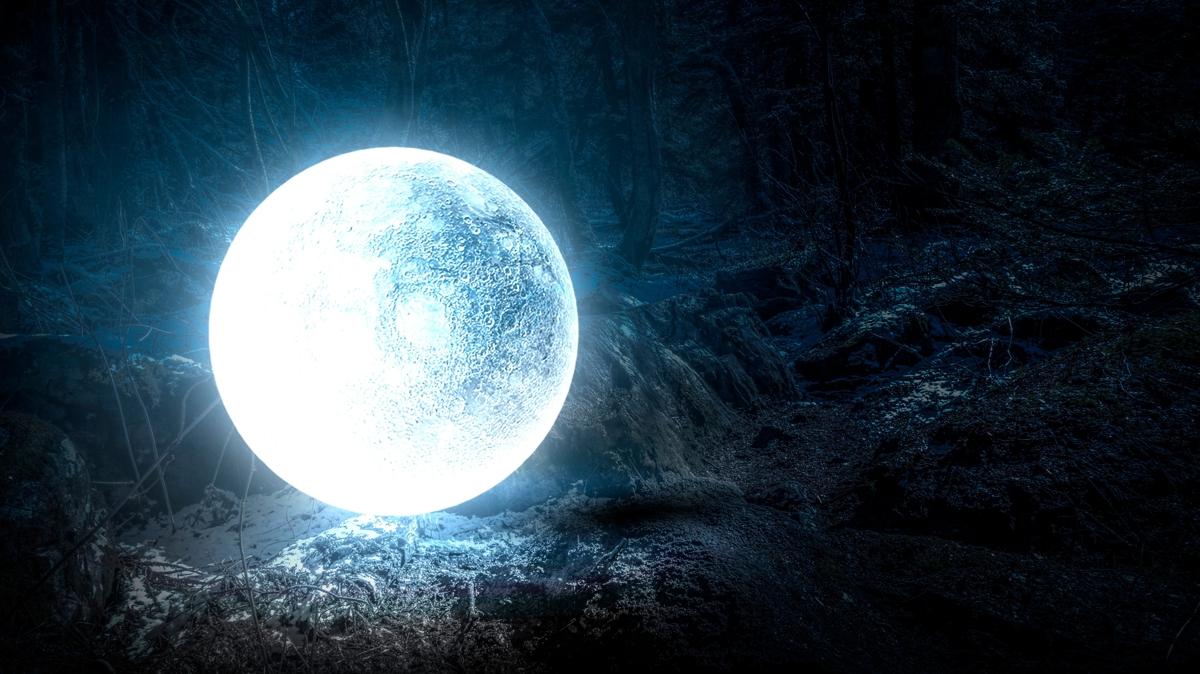 bur erkek astroloji fotoraflar resimleri