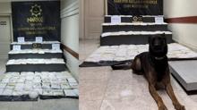 Sakarya'da rekor miktarda uyuturucu ele geirildi