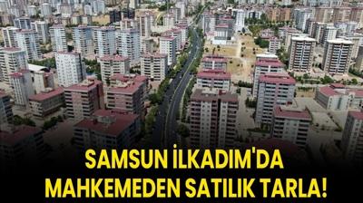 Samsun lkadm'da mahkemeden satlk tarla!
