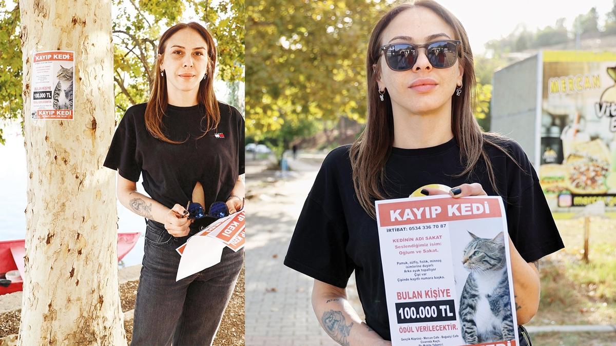 Serap Dzgn gezinti  Kayp Kedi  dl fotoraflar resimleri