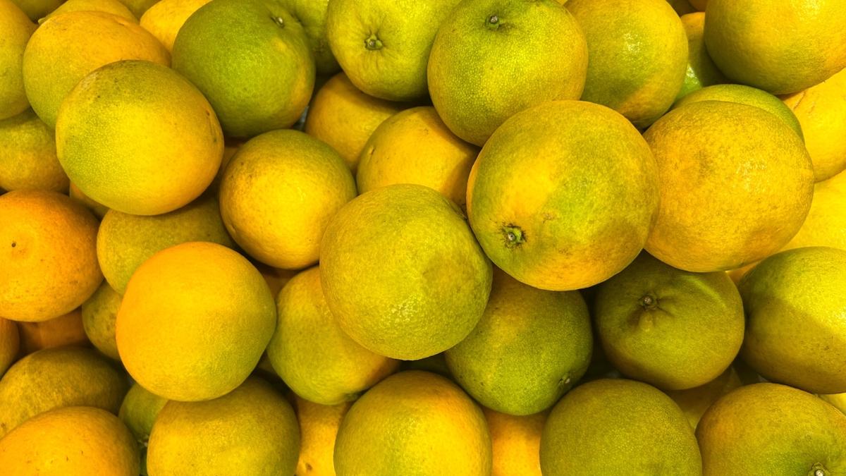 mandalina salk meyve fotoraflar resimleri