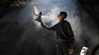 Bu sergi onlara franz  umudunuz elinizden brakmayn demenin farkl bir yolu