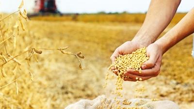 iftiye 2.5 milyar kuraklk tazminat