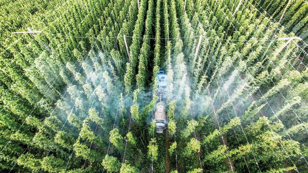 Kurakla kar ifti klim deiikli Kuraklk fotoraflar resimleri