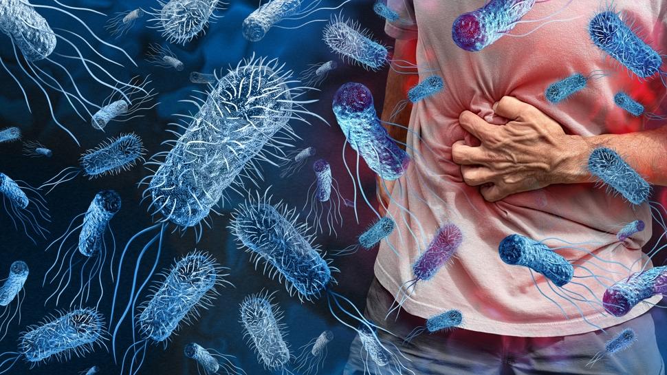 Ülser ve gastrit değil...Mide mikrobu nedir?