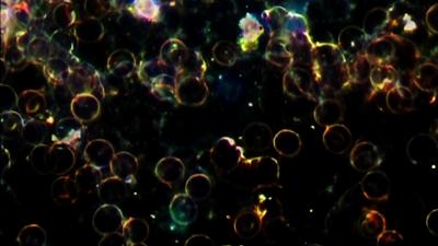 Ben'in tesi kaplarn ziyaretilere at