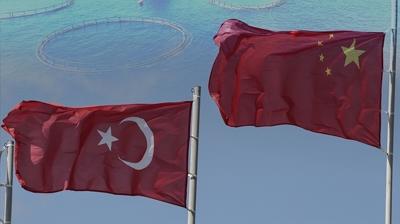 Rzgar tersine dnd! in artk Trkiye'den satn alacak