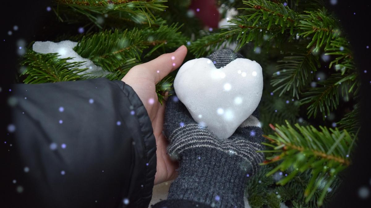 eldiven k hayat fotoraflar resimleri