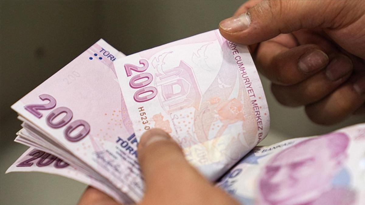 mahinur zdemir gkta  sosyal ekonomik destek  ekim ay demesi fotoraflar resimleri