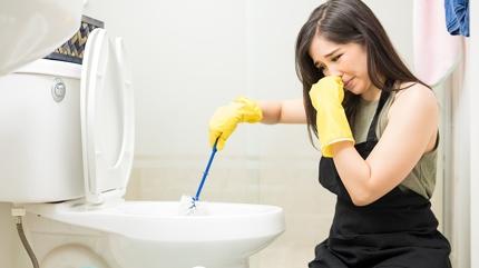 Tuvaletten ok daha kirli 5 ev eyas: Her gn kullanyoruz meer mikrop yuvasym