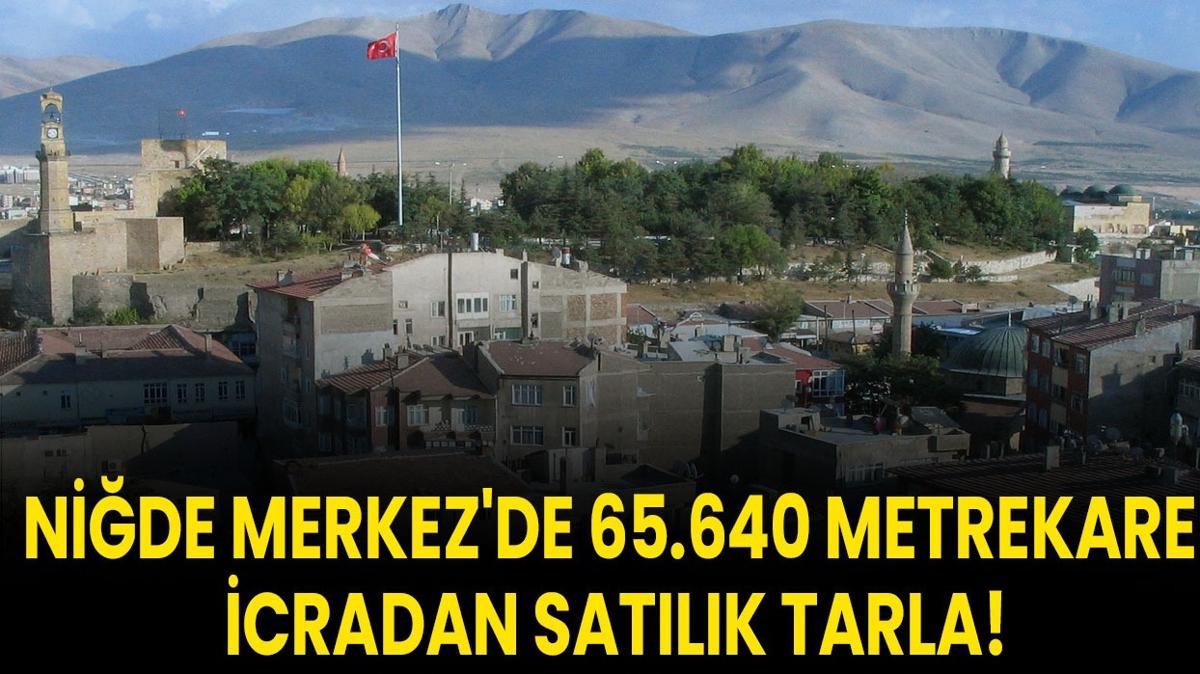 tarla sat Nide icra sat ilan ilangovtr fotoraflar resimleri