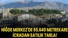 Nide Merkez'de 65.640 metrekare icradan satlk tarla!