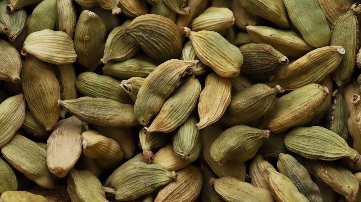 baharat salk hayat fotoraflar resimleri