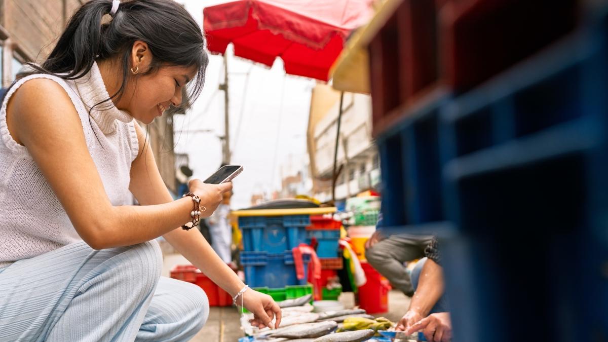 taze balk salk fotoraflar resimleri