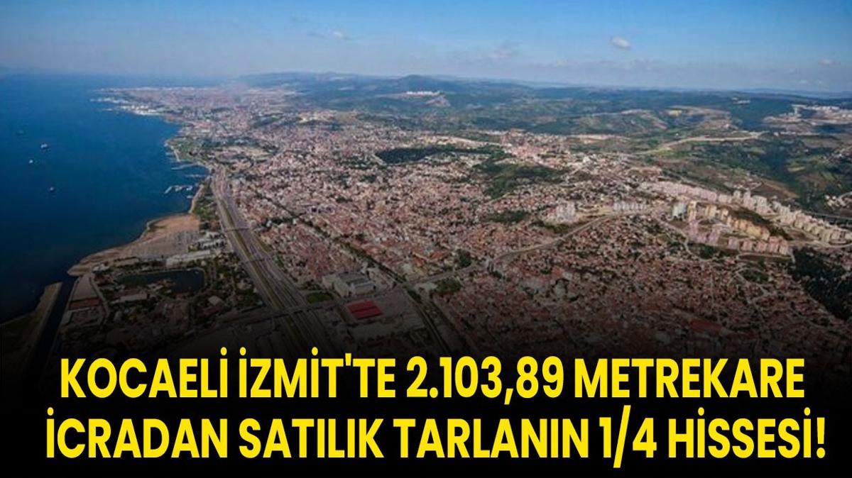 Kocaeli tarla sat  zmit icra  2.10389 metrekare ilan ilangovtr fotoraflar resimleri
