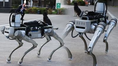 Sonraki hedef insansz robotlar! Milli rakip Robot kpek greve hazr